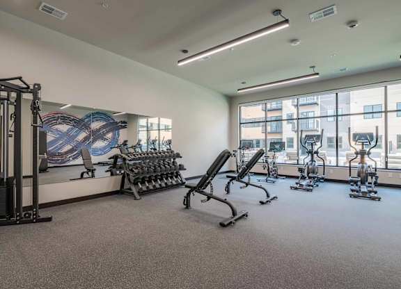 A gym with a variety of equipment including a treadmill, weights, and a bench press.