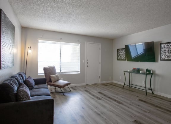 Tucson, AZ Apartments - Peaks at Redington - Living Room with a Large Window, Front Door, Wood-Style Flooring, Couch, Chair, TV, and Stylish Decor