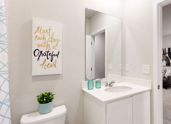 a bathroom with a mirror and a toilet and a sink