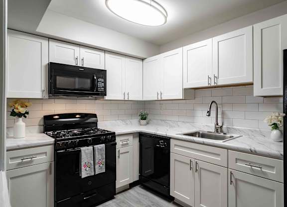 Pet-friendly kitchen at Mirador at Peachtree in Atlanta, Georgia, near Briarcliff, featuring ample cabinet space and black appliances.