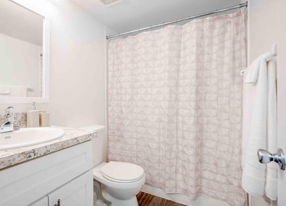 Pet-Friendly Apartments in Kissimmee, FL- Mirador at Woodside - Bathroom with Vanity and Counter Space