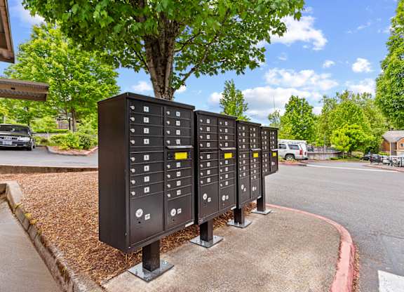 A series of parking meters are lined up on the side of a road at MonteVista Apartments, Beaverton, OR 97007
