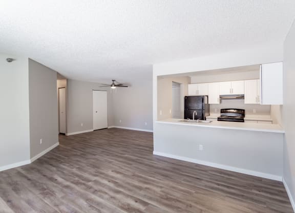 open living room and kitchen space