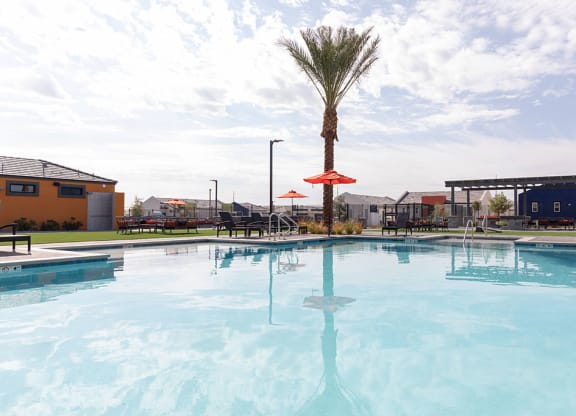 Swimming pool with palm trees at Alowyn Homes Centennial North Las Vegas