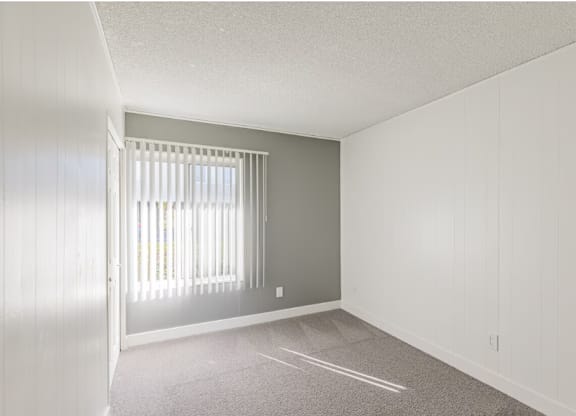 One-Bedroom Apartments in El Cajon, CA - Ivanhoe Village - Carpeted Bedroom with a Grey Accent Wall, and a Large Window.