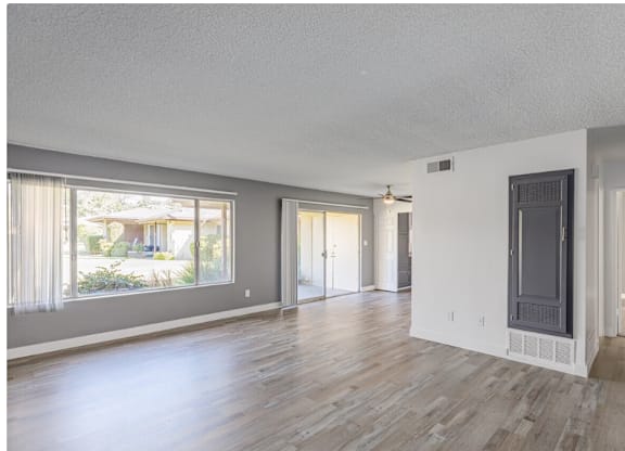 1-Bedroom Apartments in El Cajon, CA - Ivanhoe Village Apartments - Spacious Living Room With Wood Style Flooring, Wide Front Window, Sliding Glass Door, And Gray Accent Wall.