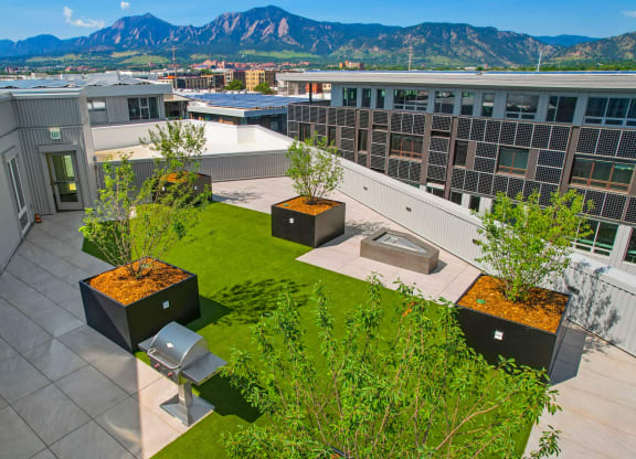 an aerial view of Platform's rooftop garden with trees and a hot tub