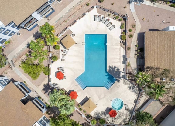 arial view of the pool at the resort at longboat key club