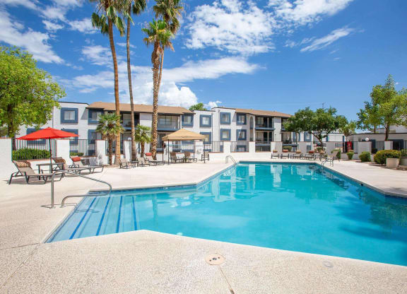 our apartments have a large swimming pool with palm trees