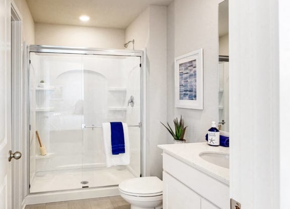 a bathroom with a shower and a toilet and a sink