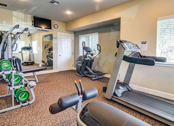 Dog-Friendly Apartments in Vancouver, WA - Reflections at the Park - 24-Hour Fitness Center Equipped with Cardio and Strength Training Machines, Full-Body Mirror, TV, and Windows with Blinds