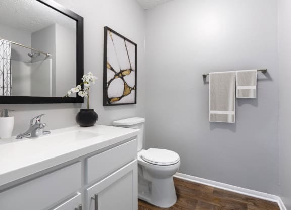 Reserve at Providence Apartment in Charlotte NC photo of bathroom with large vanity