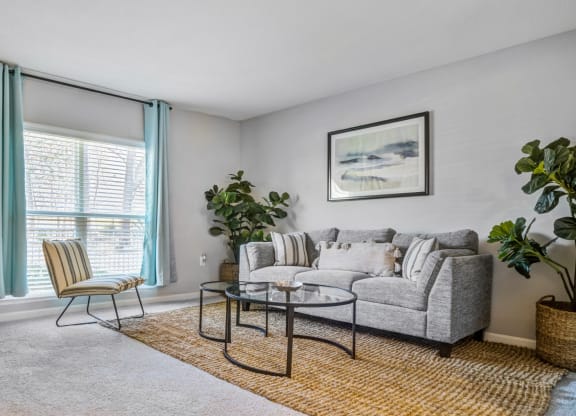 Reserve at Providence Charlotte NC photo of living room with large window