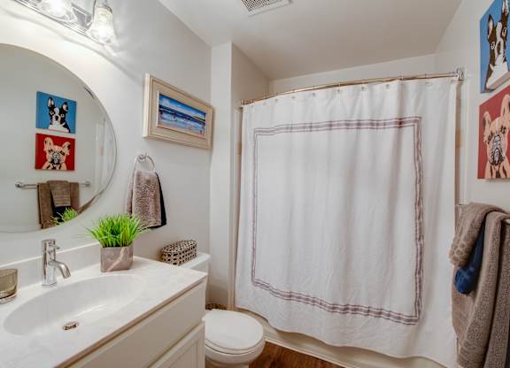 A white bathroom with a toilet, sink, and shower.
