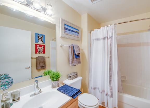 A bathroom with a toilet, sink, and shower.