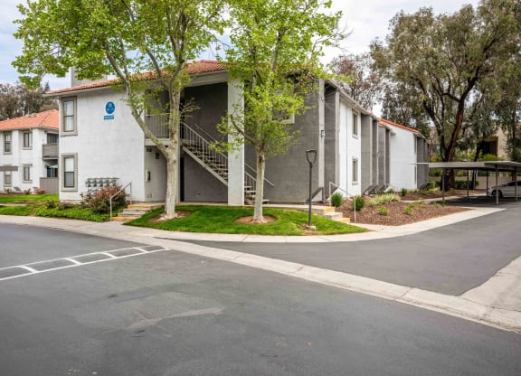 the street in front of an apartment building with trees