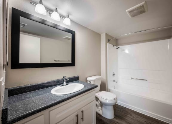 a bathroom with a sink and a toilet and a mirror