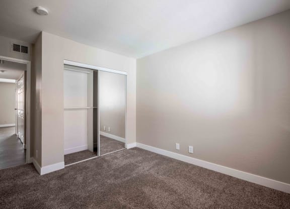 a living room with carpet and a door to a closet
