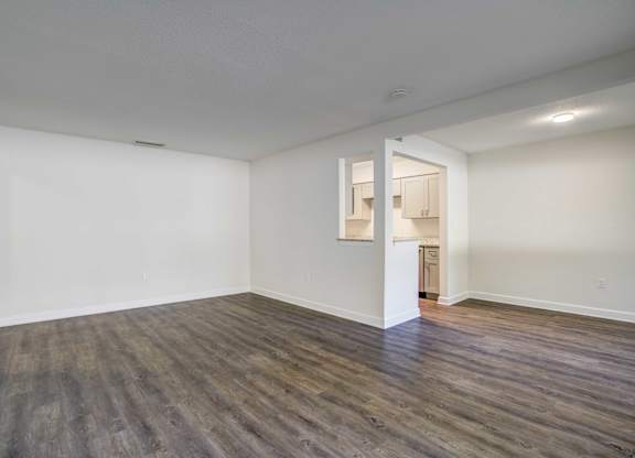 Pet-friendly living room with hardwood floors at Square One Apartments in Gainesville FL