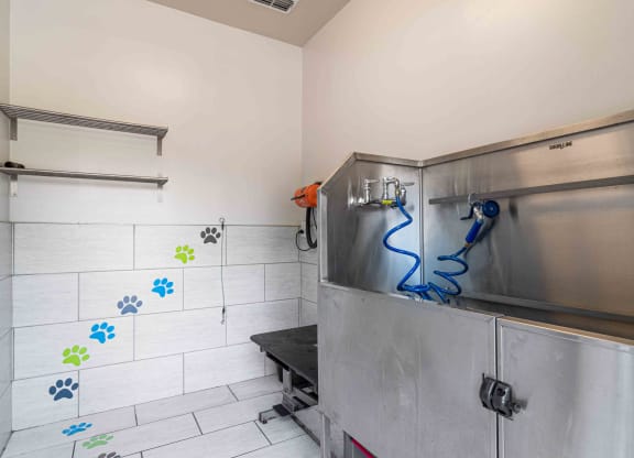 The Asher at Sugarloaf apartments in Lawrenceville Georgia photo of pet spa