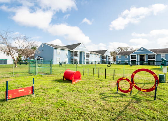 The Commons Apartments in Tampa Florida photo of leash free dog park