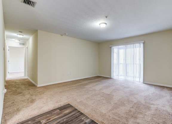 The Commons Apartments in Tampa Florida photo of living room with plush carpets