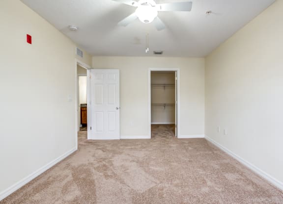 The Commons Apartment in Tampa Florida Photo Of a bedroom with carpeted flooring and a ceiling fan