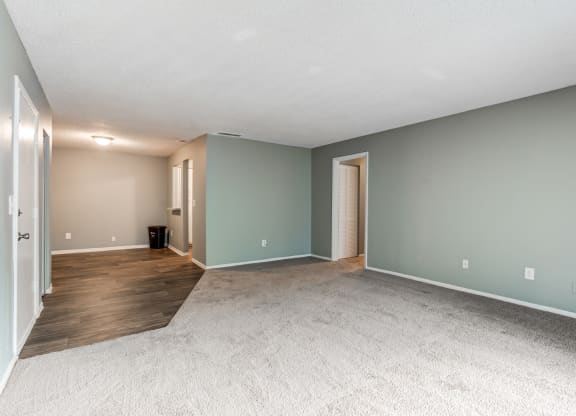 The Commons Apartments in Tampa Florida photo of living room with gray walls