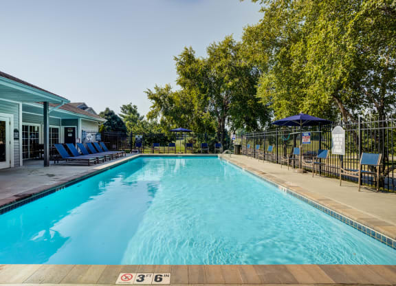 take a dip in the pool