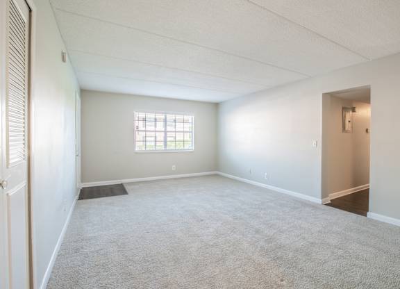 Living room with plush carpet at Townsend Apartments in Jacksonville near Atlantic Beach, Florida
