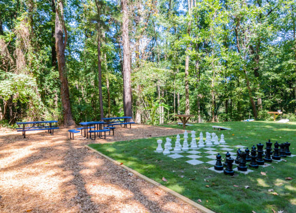Wyndcliff Galleria Apartments Smyrna Ga Playground with Large Chess Set