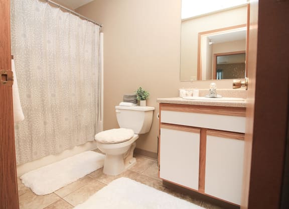 a bathroom with a shower toilet and sink