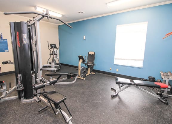 a room with a lot of exercise equipment and a window