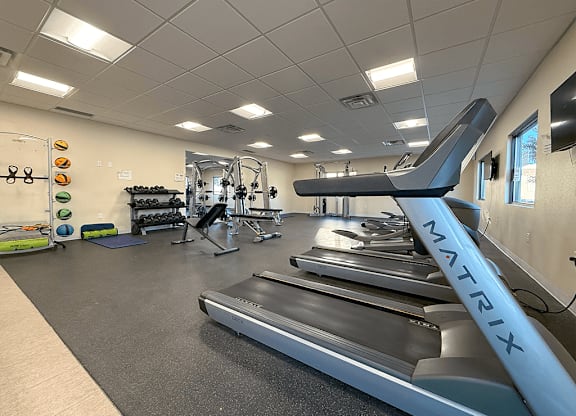 A gym with treadmills and other exercise equipment.