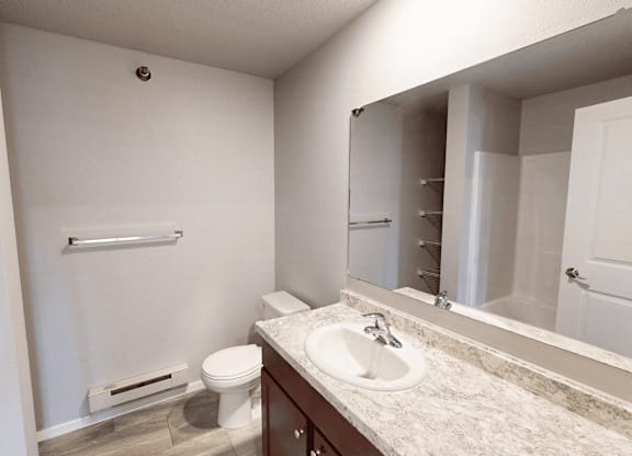 A bathroom with a toilet, sink, and mirror.