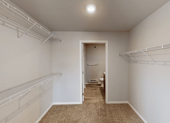 A white closet with a carpeted floor and a doorway leading to a bathroom.