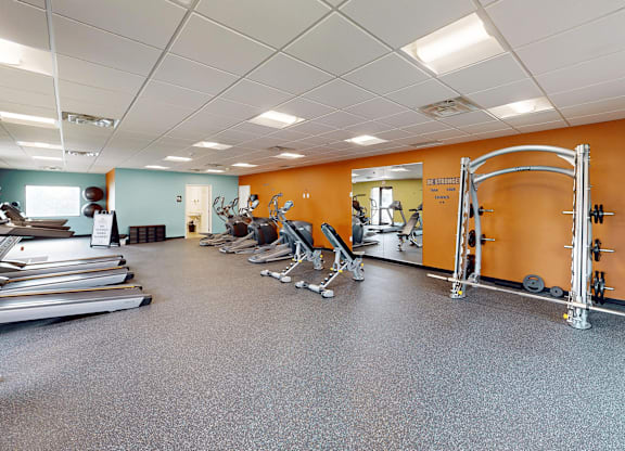 A gym with treadmills, weights, and exercise equipment.