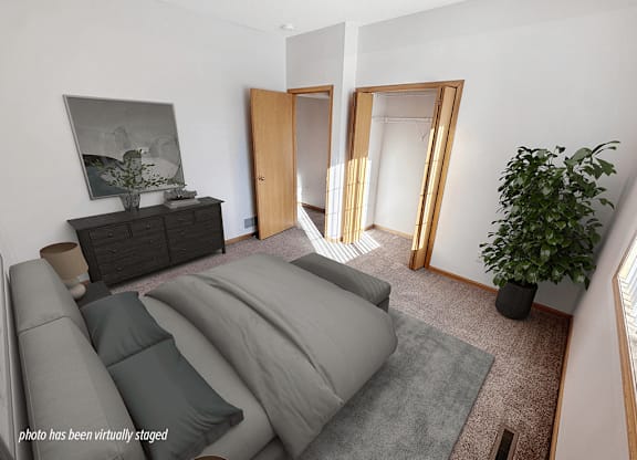 A living room with a grey couch and a plant.