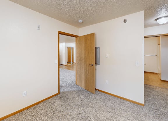 A room with a brown door and carpeted floor.