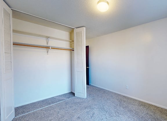 A room with a carpeted floor and a closet with a white door.