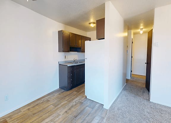 A kitchen area with a counter and cabinets.