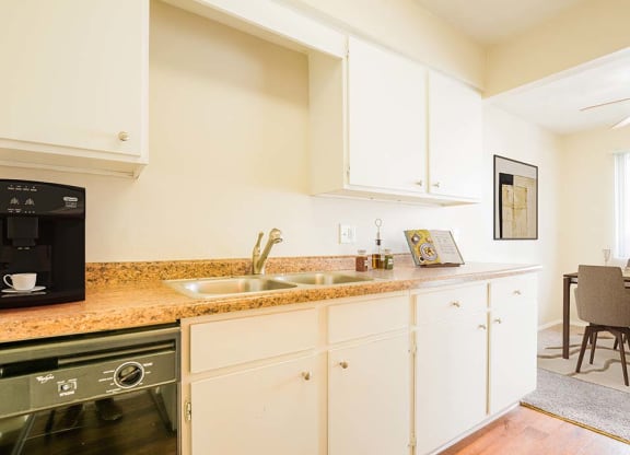 kitchen with double sink and cabinet space