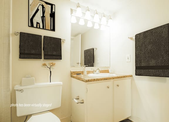 A bathroom with a toilet, sink, and mirror.