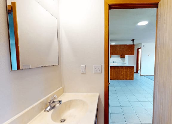 A bathroom with a white sink and a mirror.