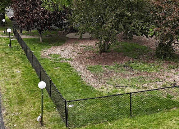 A black fence runs along a grassy area with trees.