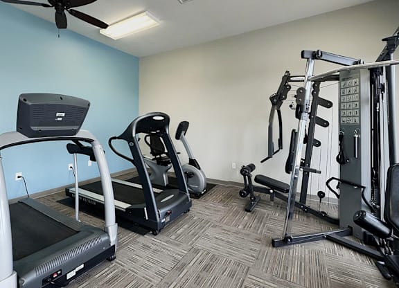 A gym with treadmills, elliptical machines, and weight machines.