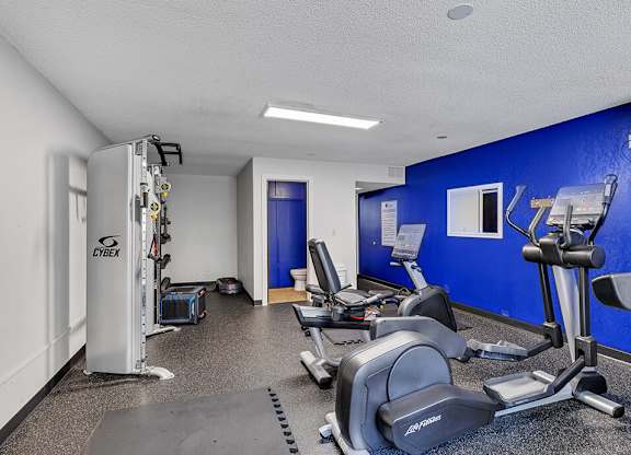 our apartments have a gym with plenty of equipment