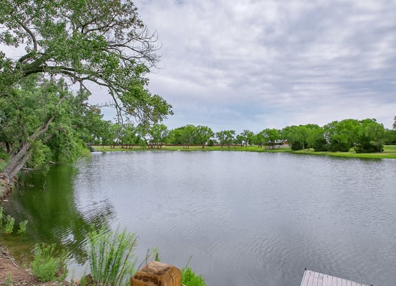 Beautiful View of pond