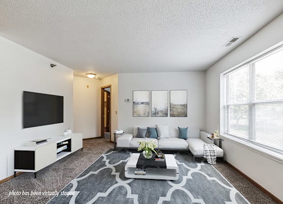 A living room with a grey and white patterned rug, a white sofa, a black television, and a window with blinds.