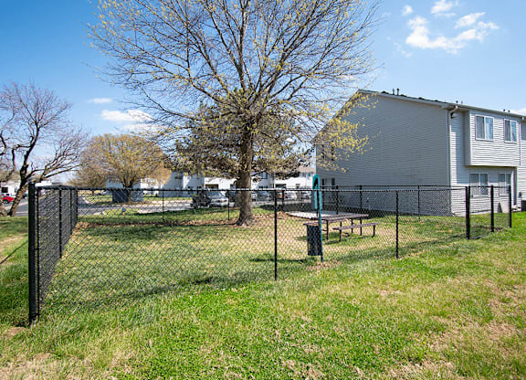A fenced-in yard with a picnic table and a tree.